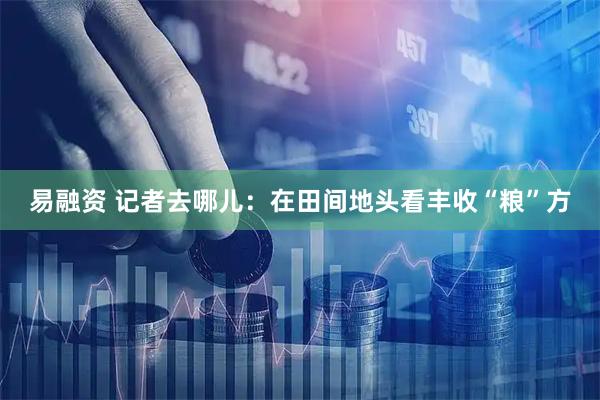 易融资 记者去哪儿:在田间地头看丰收“粮”方