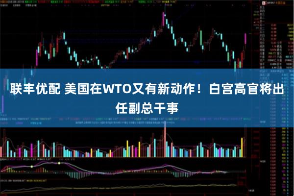 联丰优配 美国在WTO又有新动作!白宫高官将出任副总干事