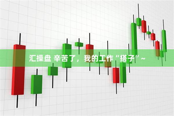 汇操盘 辛苦了，我的工作“搭子”~