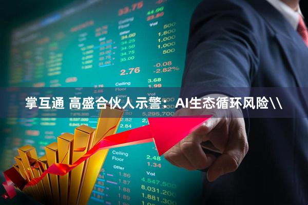 掌互通 高盛合伙人示警：AI生态循环风险\